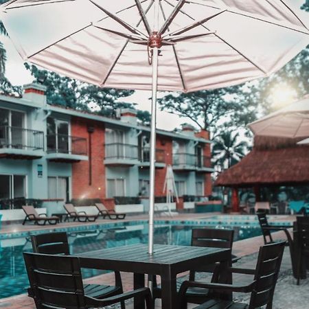 Hotel Y Restaurante Meson Del Gitano Caucasia Екстер'єр фото